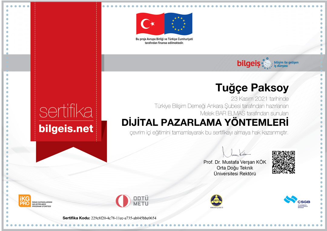Dijital_Pazarlama_Yöntemleri___Melek_Bar_Elmas-Sertifika_227101
